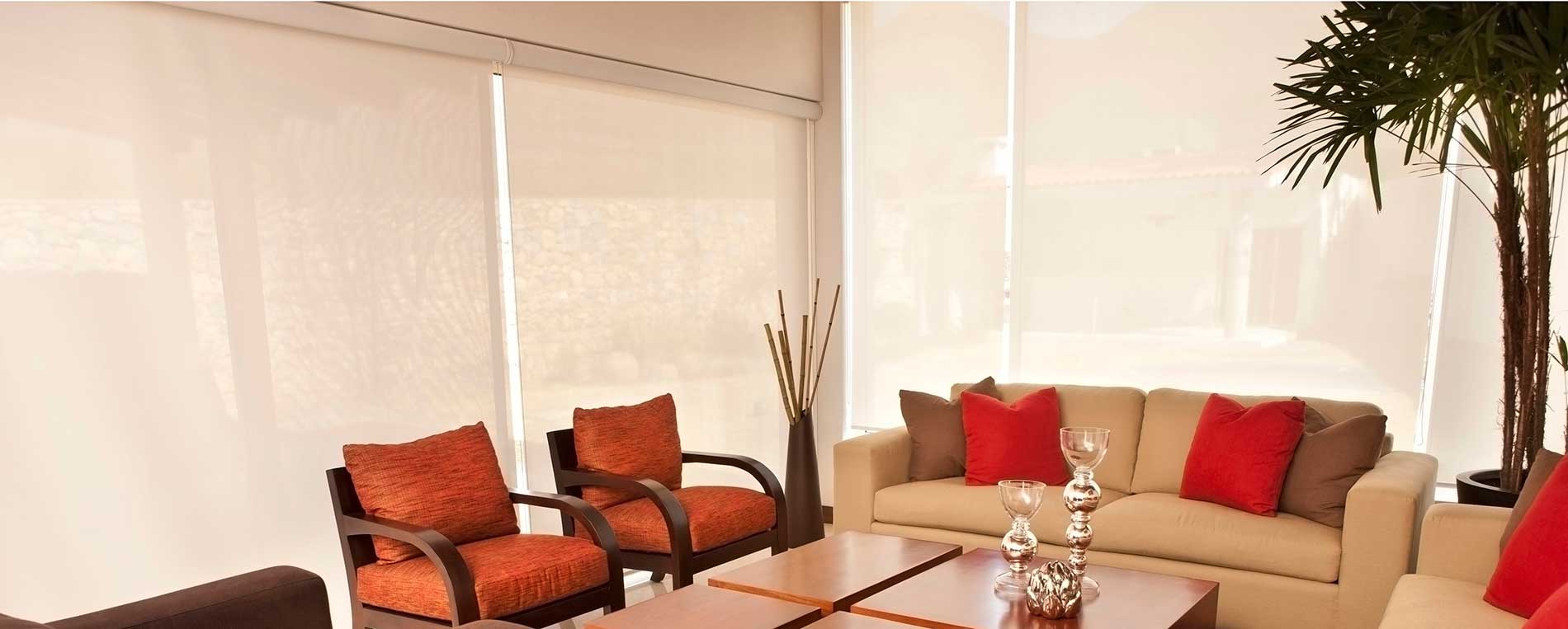 Simple Roller Shades For North Tustin Room